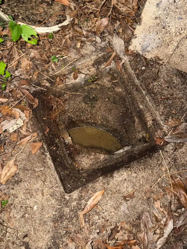Regard d'évacuation extérieur bouché avec eau stagnante avant débouchage